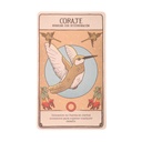 Muju Coraje V2