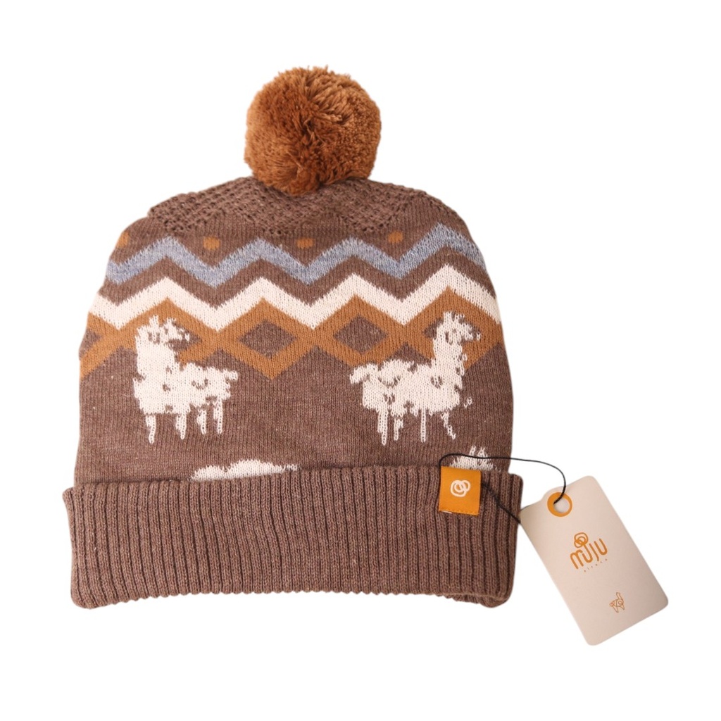 Chullo Asiy zigzag (Muju)